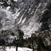 ᥫᥐ烈酒烫喉￥