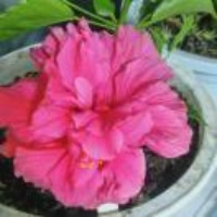 好人一生平安22022