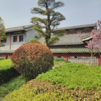 飘渺2823