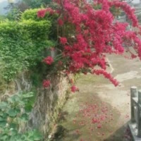 舞动人生9300