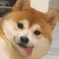 四下皆是你——