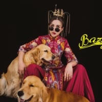 宾利百威是金毛