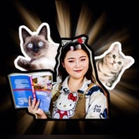 猫奴十三(有问题私信我)