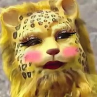 禅游老都（成都衰仔）