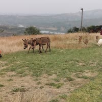 咸与维新。须臾见