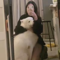 龙离谱