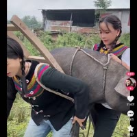 一哥