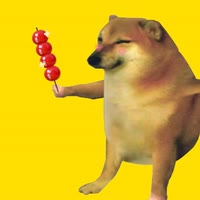 狗哥的故事