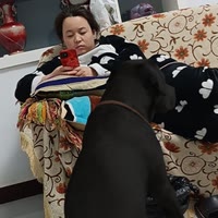 我爱我的家人，爱你呦。