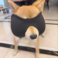 不知名网友！