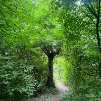 千川文化