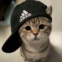 酷嘿