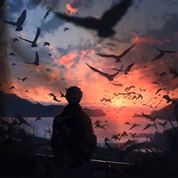 灰星空之吻