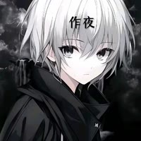 作夜（闪乐猫）
